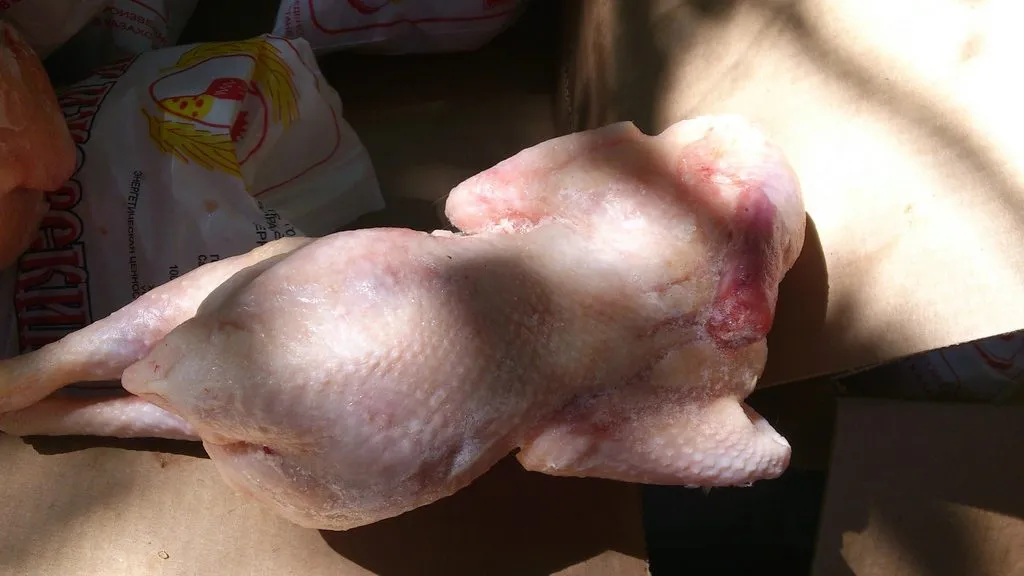 курица суповая, несушка в Казахстане