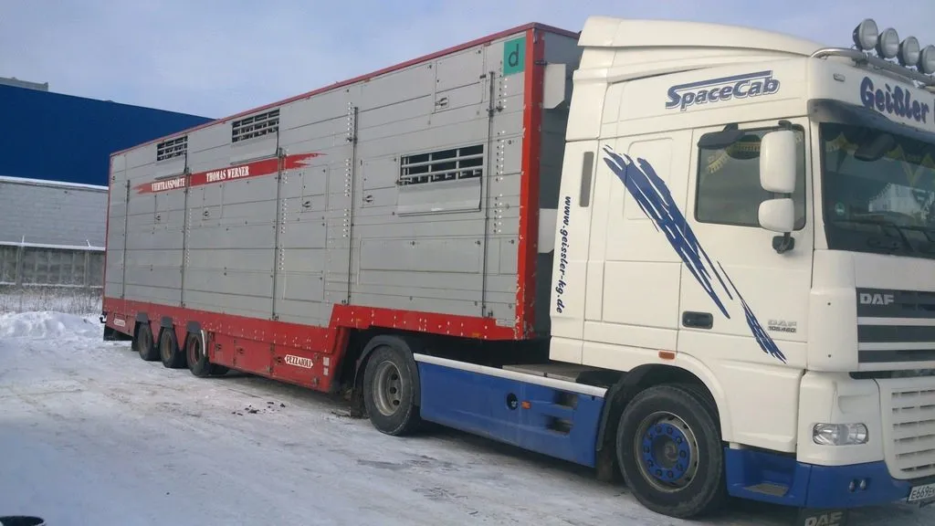перевозки живого скота в Серпухове