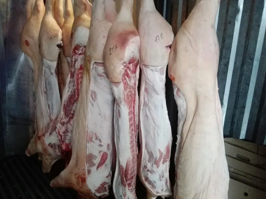 свинина  в полутушах. 202 р/кг в Омске