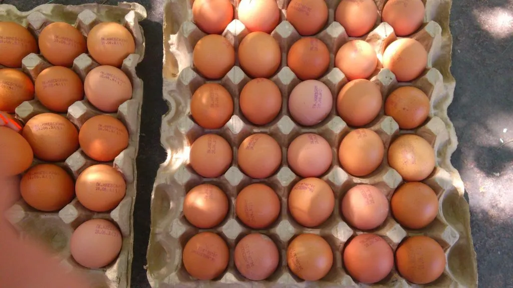 яйцо куриное различной категории в Казахстане