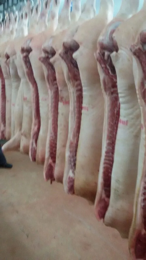 мясо свинины в  полутушах  в Мытищах 5