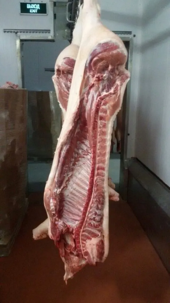 мясо свинины в  полутушах  в Мытищах 4