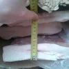 шпик на шкуре 250 руб в Челябинске