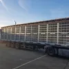 контейнер для трансп. птицы Тип 6(MEYN) в Ростове-на-Дону