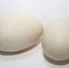 продаем инкубационное утиное яйцо. в Гае