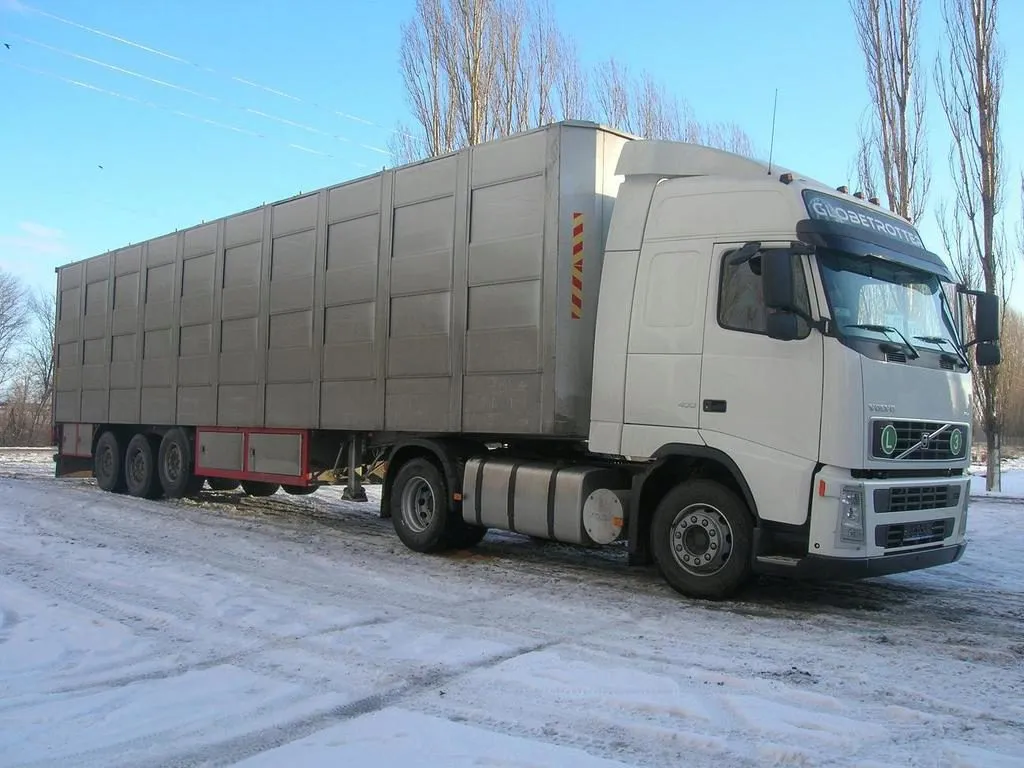 перевозка скота в России в Белгороде