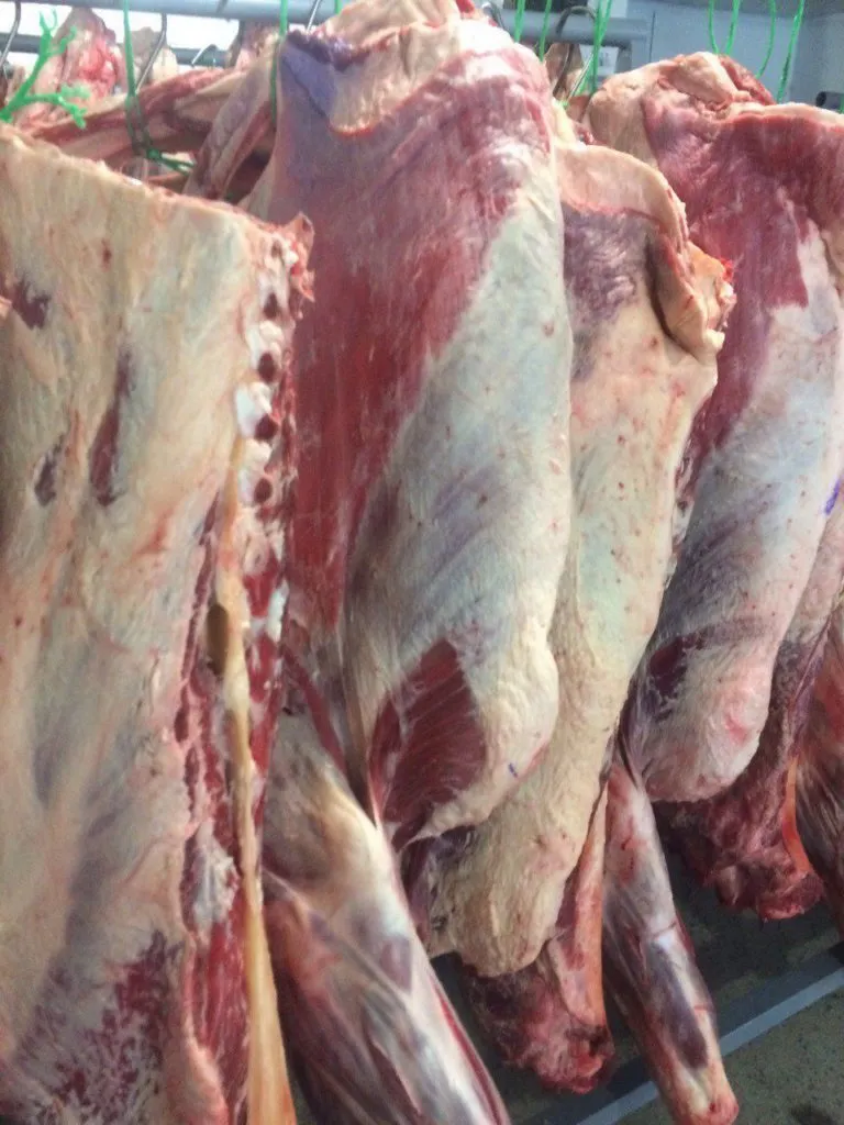 Фотография продукта Мясо заморозка от 1 тонны, СПб