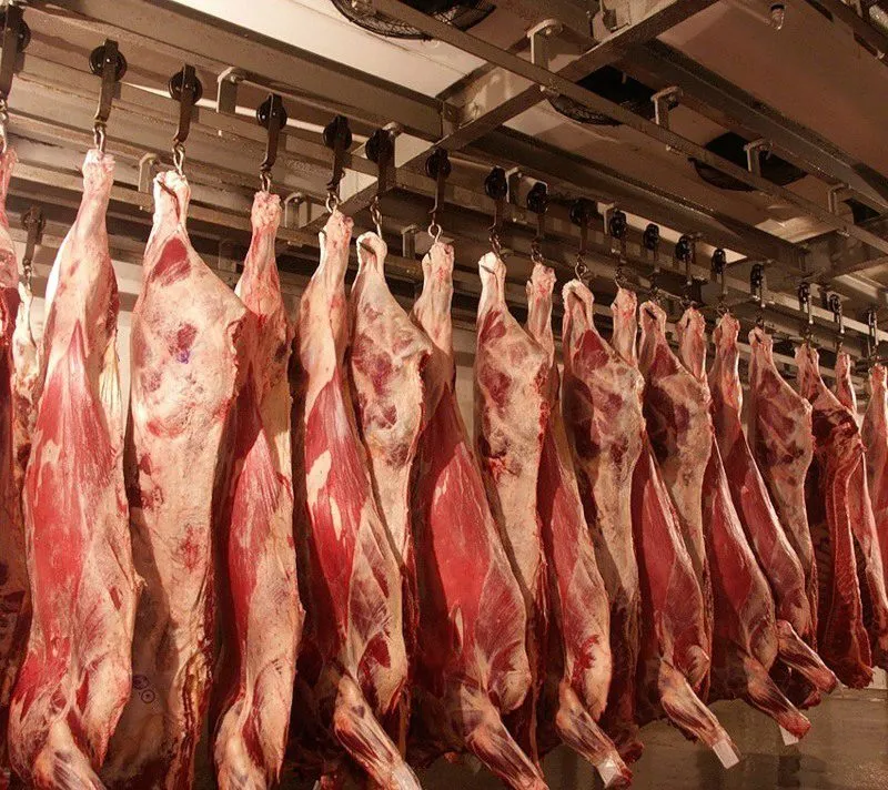 мясо говядины в Республике Беларусь 2
