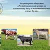 иНВЕСТОР или проектное финансирование  в Казахстане 15