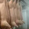 мясо свинина замороженная 179 р в Уфе