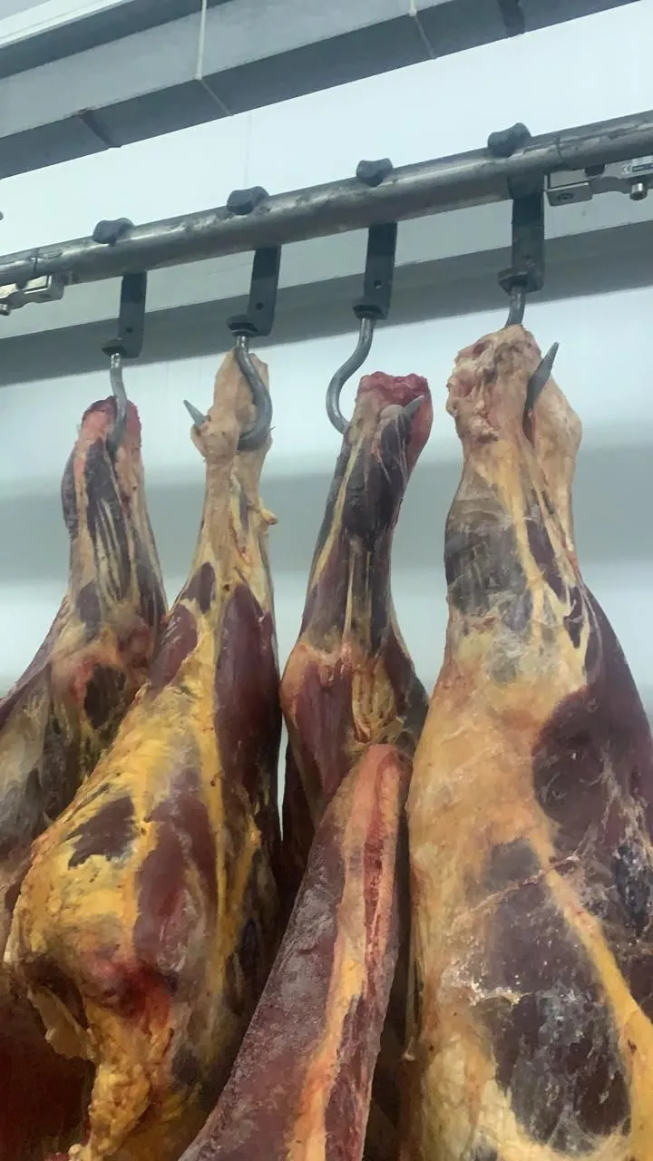 мясо говядины 1 категории быки и телки в Казахстане 3