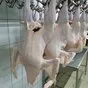 мясо кур-несушек в Республике Беларусь 3