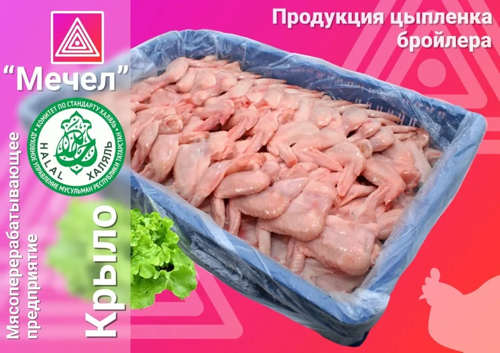 фотография продукта Кура, крыло мон.