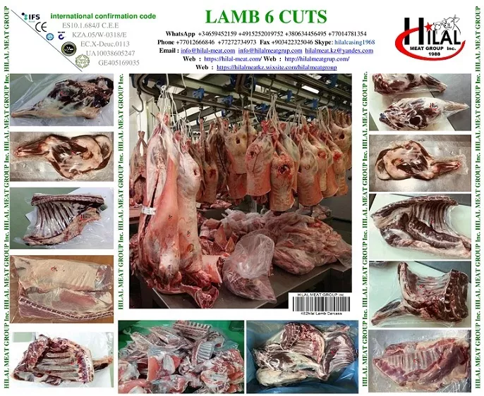 фотография продукта Lamb carcass