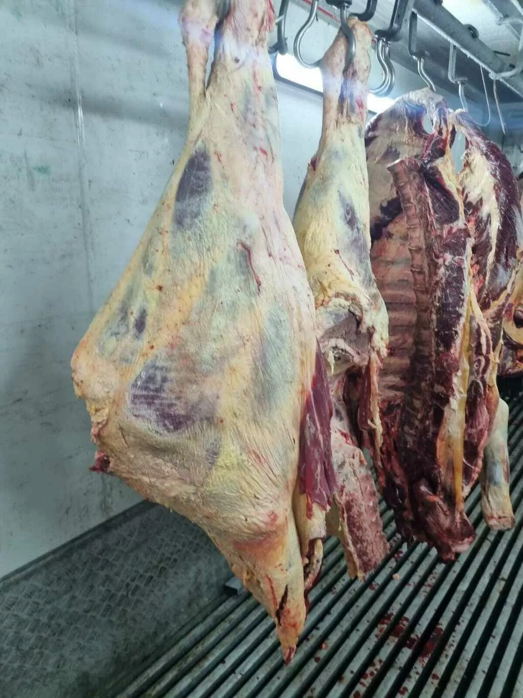 Фотография продукта Мясо говядины в полутушах и четвертинах