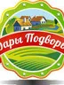 Светлана Богданова