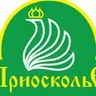 Ольга Приосколье  ТД Агрокомплекс 