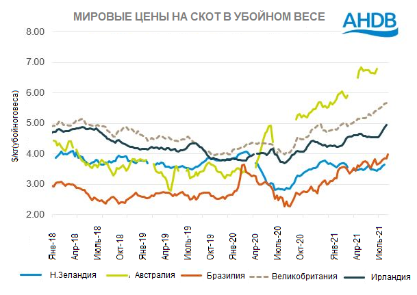 https://meatinfo.ru/data/news/422633/1.png