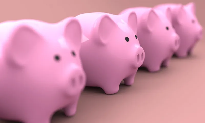 В Канаде зафиксирован  скромный рост поголовья свиней