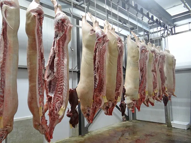 Для экспорта свинины из Великобритании складываются сложные рыночные условия