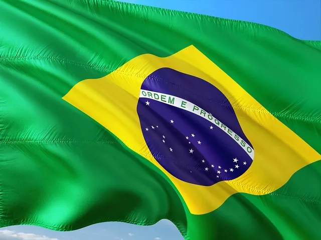 Бразилия занимает все большую долю на мировом рынке мяса