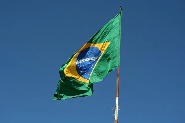 Мясной кризис в Бразилии на фоне запрета на экспорт в Китай