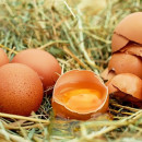 Бразилия сообщает об увеличении экспорта яиц на 81,5%