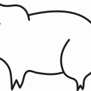 Крупнейший свинокомплекс Курганской области готовится к вводу второй очереди