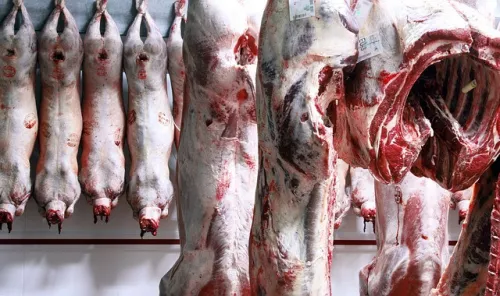 USDA выделит 215 миллионов долларов на расширение переработки мяса и птицы