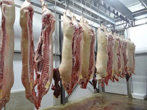 Япония увеличит импорт свинины - падение внутреннего производства пойдет на пользу экспортерам