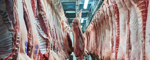USDA повышает прогноз по производству мяса и птицы