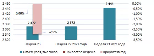 США: Обзор рынка свиней за 24 неделю от 20 июнь 2022 года