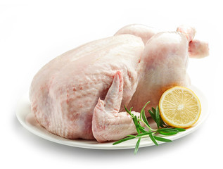 Слухи о дефиците куриного мяса сильно преувеличены
