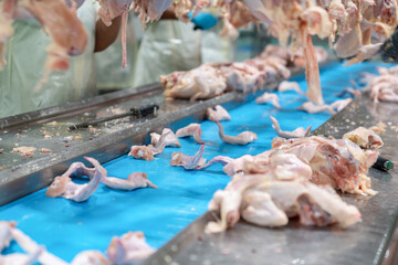 Мясо птицы к 2031 году займет почти половину мясного рынка 