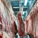 Азербайджан расширил перечень российских поставщиков продукции животноводства