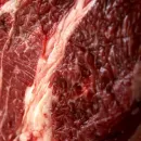 Пять казахстанских предприятий начнут экспортировать мясо в Саудовскую Аравию