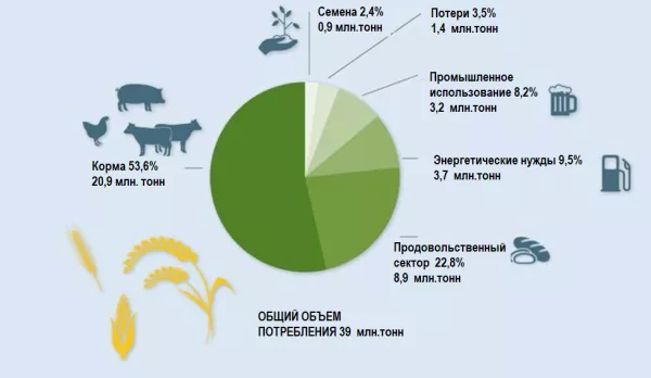 Германия сокращает использование зерна в качестве корма для животных