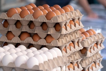 Бразилия экспортировала 9,4 тыс. тонн яиц в 2022 году