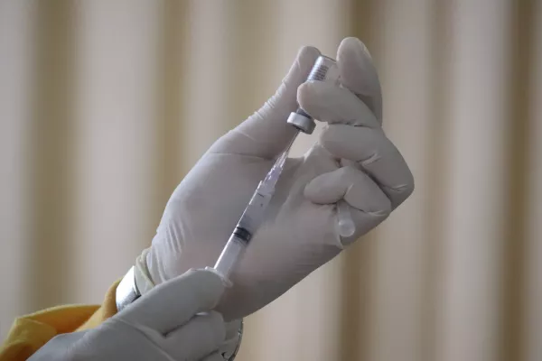 В Нидерландах протестировали вакцины против птичьего гриппа