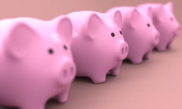 Мировой рынок свинины – отчет Rabobank за третий квартал