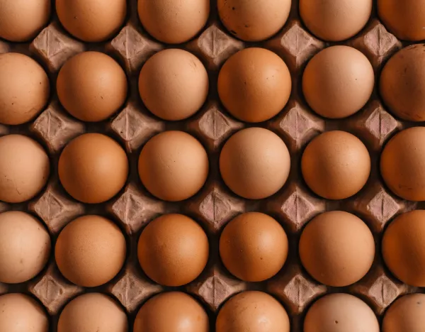 Минсельхоз в 2024 году прогнозирует рост производства куриных яиц и мяса птицы