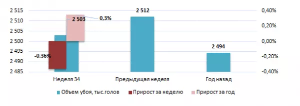 США: Обзор рынка свиней за 34 неделю от 26 августа 2024 года