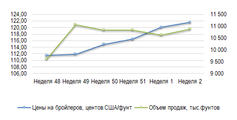 Иллюстрация новости