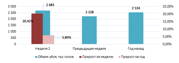 Иллюстрация новости