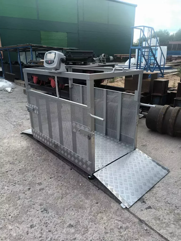 Весы для животноводов: особенности и преимущества