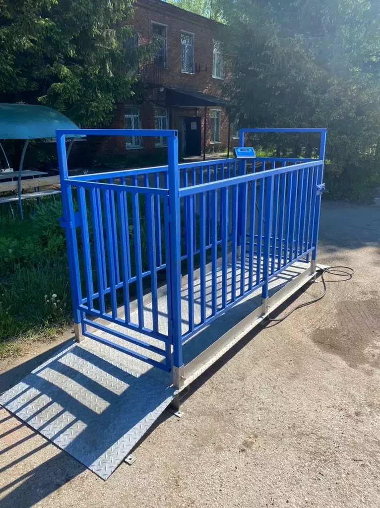 Весы для животноводов: особенности и преимущества