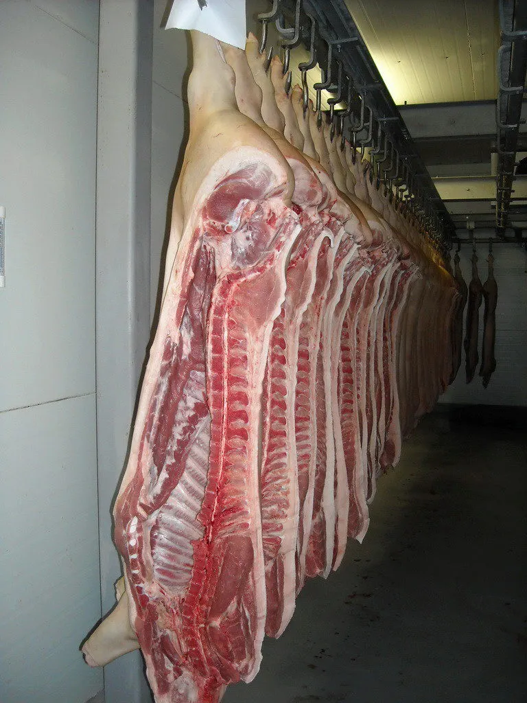Фотография продукта полутуши свиные охл от производителя