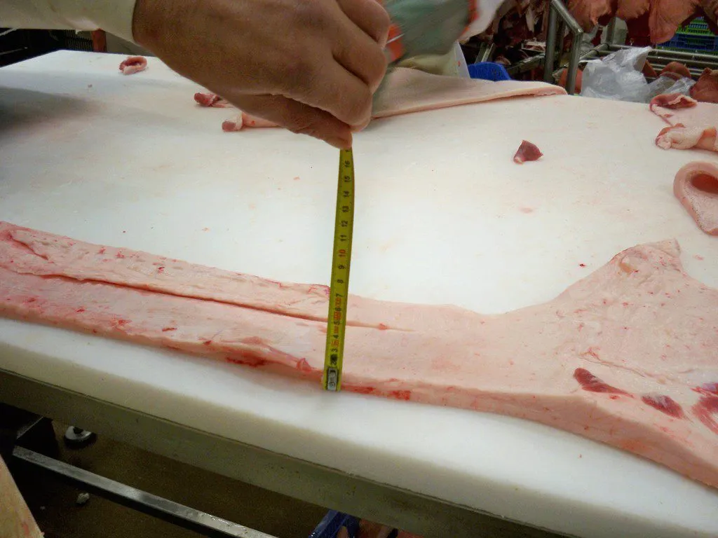 фотография продукта щека свин.тримминг шпик сердце шкурк