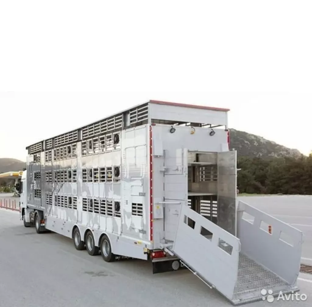 фотография продукта Перевозка скота,крс,нетелей,телят  