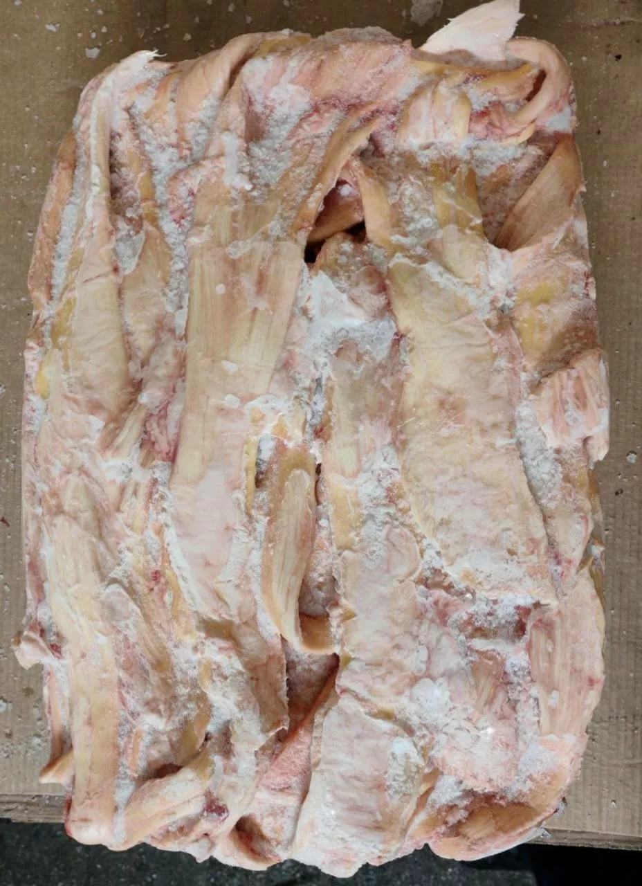 Фотография продукта Сухожилие(жилка) говяжья становая.